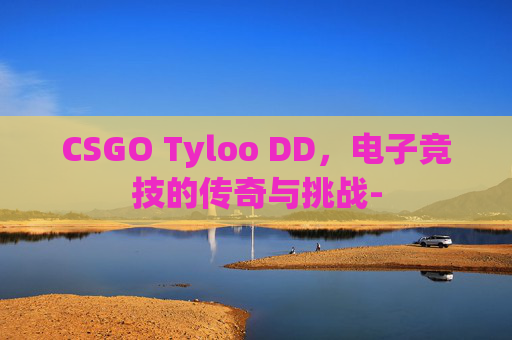 CSGO Tyloo DD，电子竞技的传奇与挑战-