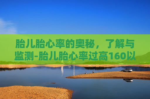 胎儿胎心率的奥秘,了解与监测-胎儿胎心率过高160以上怎么回事 胎儿胎心率的奥秘,了解与监测-胎儿胎心率过高160以上怎么回事