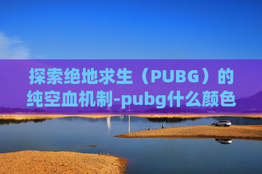 探索绝地求生（PUBG）的纯空血机制-pubg什么颜色血最好