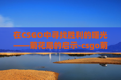 在CSGO中寻找胜利的曙光——菊花局的启示-csgo菊花算什么水平