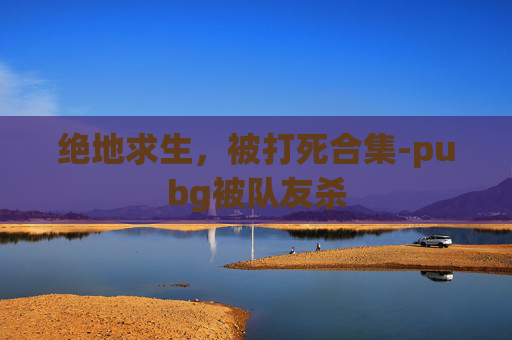 绝地求生，被打死合集-pubg被队友杀