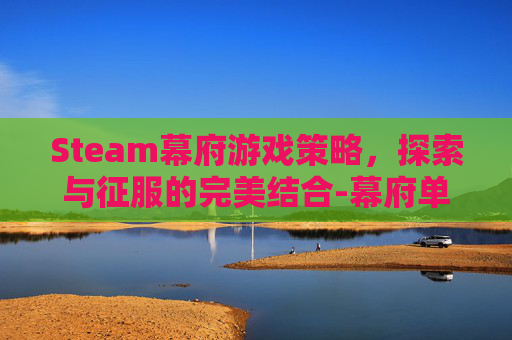 Steam幕府游戏策略，探索与征服的完美结合-幕府单机游戏