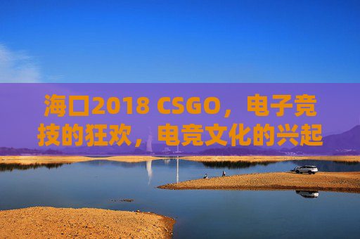 海口2018 CSGO，电子竞技的狂欢，电竞文化的兴起-海口2018年房价