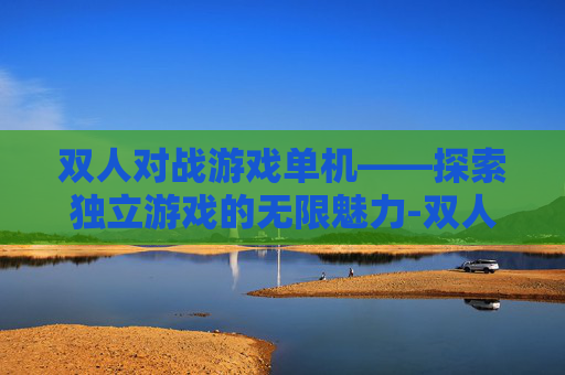 双人对战游戏单机——探索独立游戏的无限魅力-双人对战类小游戏