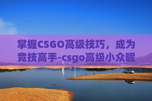 掌握CSGO高级技巧，成为竞技高手-csgo高级小众昵称