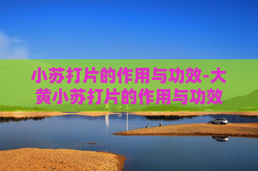 小苏打片的作用与功效-大黄小苏打片的作用与功效