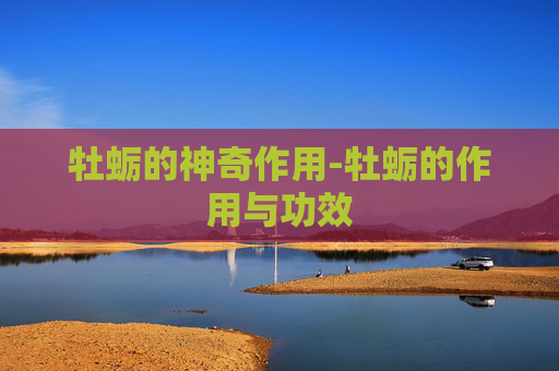 牡蛎的神奇作用-牡蛎的作用与功效