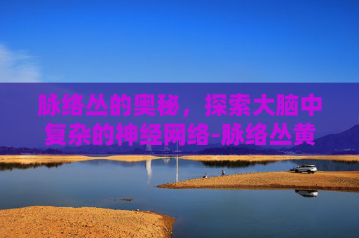 脉络丛的奥秘，探索大脑中复杂的神经网络-脉络丛黄色肉芽肿是什么病