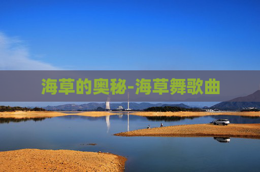 海草的奥秘-海草舞歌曲