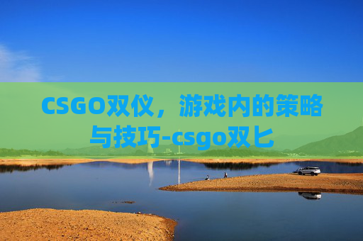 CSGO双仪，游戏内的策略与技巧-csgo双匕