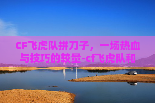 CF飞虎队拼刀子，一场热血与技巧的较量-cf飞虎队和刀锋哪个好