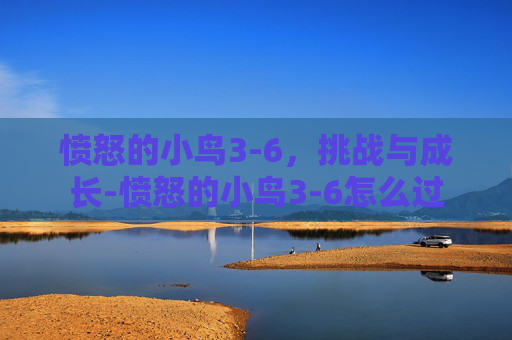 愤怒的小鸟3-6，挑战与成长-愤怒的小鸟3-6怎么过
