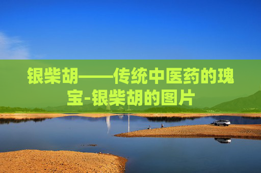 银柴胡——传统中医药的瑰宝-银柴胡的图片 银柴胡——传统中医药的瑰宝-银柴胡的图片