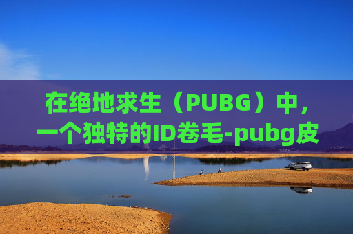 在绝地求生(PUBG)中,一个独特的ID卷毛-pubg皮肤代码 在绝地求生(PUBG)中,一个独特的ID卷毛-pubg皮肤代码