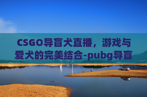 CSGO导盲犬直播,游戏与爱犬的完美结合-pubg导盲犬 CSGO导盲犬直播,游戏与爱犬的完美结合-pubg导盲犬