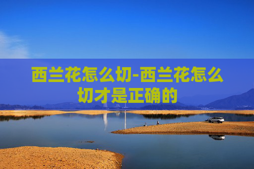 西兰花怎么切-西兰花怎么切才是正确的 西兰花怎么切-西兰花怎么切才是正确的