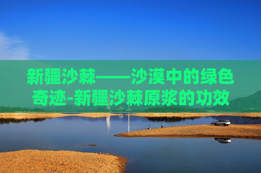 新疆沙棘——沙漠中的绿色奇迹-新疆沙棘原浆的功效与作用