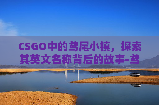 CSGO中的鸢尾小镇，探索其英文名称背后的故事-鸢尾小屋