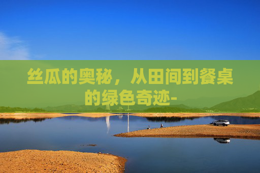丝瓜的奥秘，从田间到餐桌的绿色奇迹-