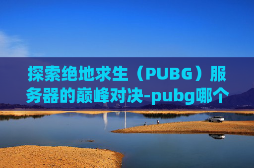 探索绝地求生（PUBG）服务器的巅峰对决-pubg哪个服好玩