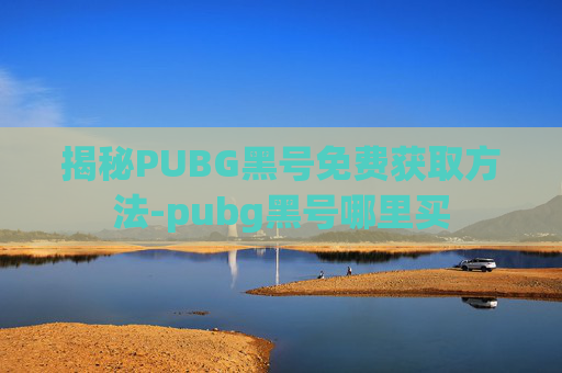 揭秘PUBG黑号免费获取方法-pubg黑号哪里买