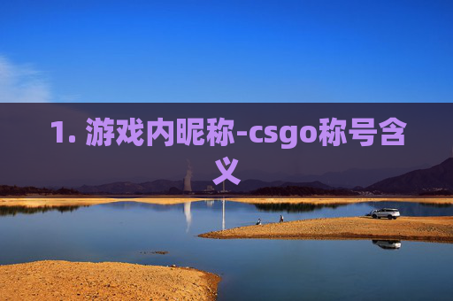 1. 游戏内昵称-csgo称号含义