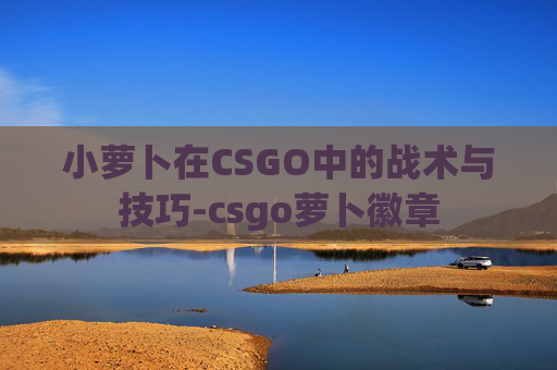 小萝卜在CSGO中的战术与技巧-csgo萝卜徽章