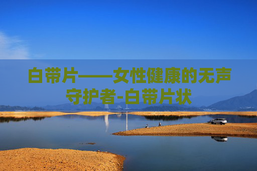 白带片——女性健康的无声守护者-白带片状