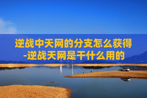 逆战中天网的分支怎么获得-逆战天网是干什么用的