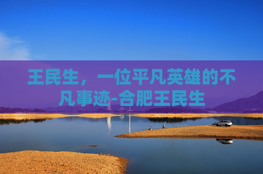 王民生，一位平凡英雄的不凡事迹-合肥王民生