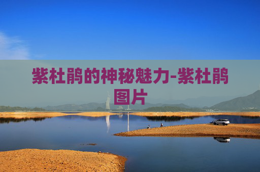 紫杜鹃的神秘魅力-紫杜鹃图片