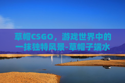 草帽CSGO，游戏世界中的一抹独特风景-草帽子端水歇后语下一句