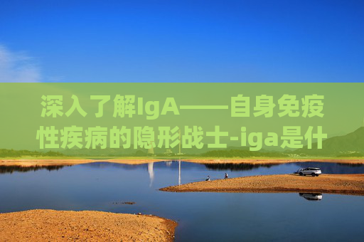 深入了解IgA——自身免疫性疾病的隐形战士-iga是什么病的简称