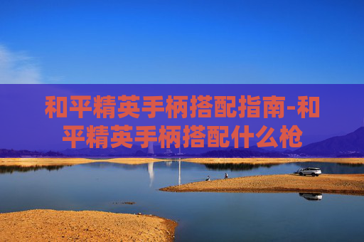 和平精英手柄搭配指南-和平精英手柄搭配什么枪