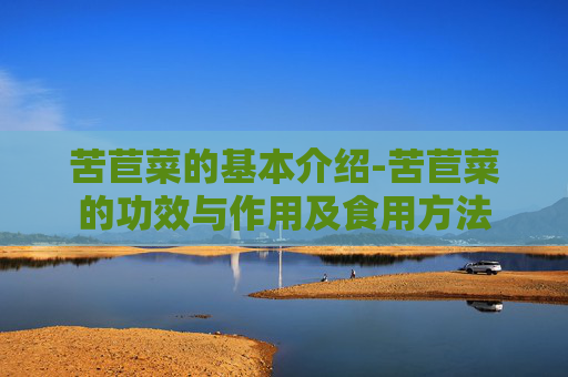 苦苣菜的基本介绍-苦苣菜的功效与作用及食用方法 苦苣菜的基本介绍-苦苣菜的功效与作用及食用方法