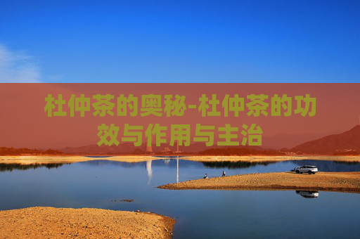 杜仲茶的奥秘-杜仲茶的功效与作用与主治 杜仲茶的奥秘-杜仲茶的功效与作用与主治