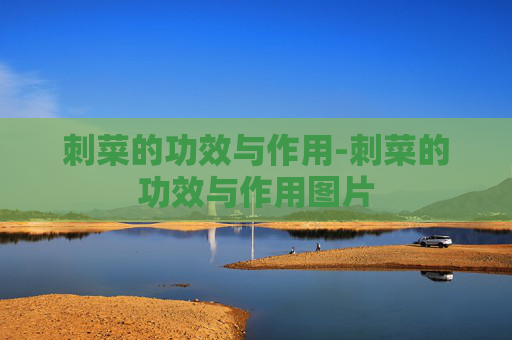 刺菜的功效与作用-刺菜的功效与作用图片