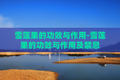 雪莲果的功效与作用-雪莲果的功效与作用及禁忌 雪莲果的功效与作用-雪莲果的功效与作用及禁忌