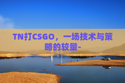 TN打CSGO，一场技术与策略的较量-