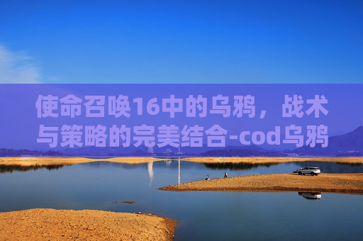 使命召唤16中的乌鸦,战术与策略的完美结合-cod乌鸦组 使命召唤16中的乌鸦,战术与策略的完美结合-cod乌鸦组
