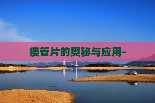 瘘管片的奥秘与应用-