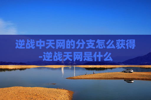 逆战中天网的分支怎么获得-逆战天网是什么