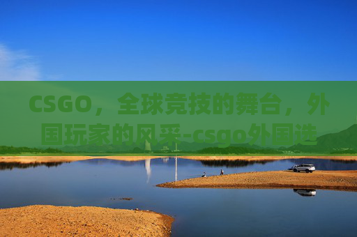CSGO,全球竞技的舞台,外国玩家的风采-csgo外国选手 CSGO,全球竞技的舞台,外国玩家的风采-csgo外国选手