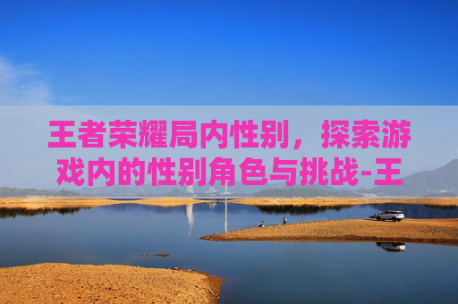 王者荣耀局内性别，探索游戏内的性别角色与挑战-王者荣耀游戏内性别