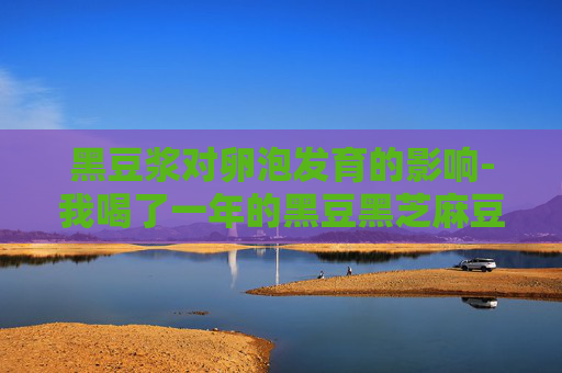 黑豆浆对卵泡发育的影响-我喝了一年的黑豆黑芝麻豆浆