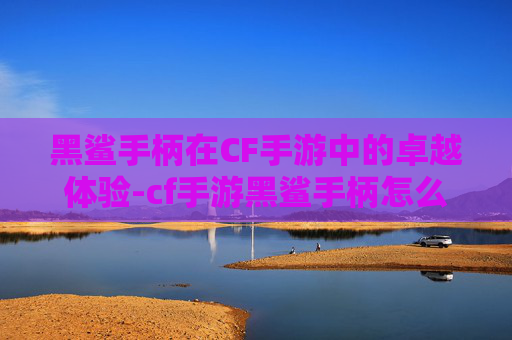 黑鲨手柄在CF手游中的卓越体验-cf手游黑鲨手柄怎么用