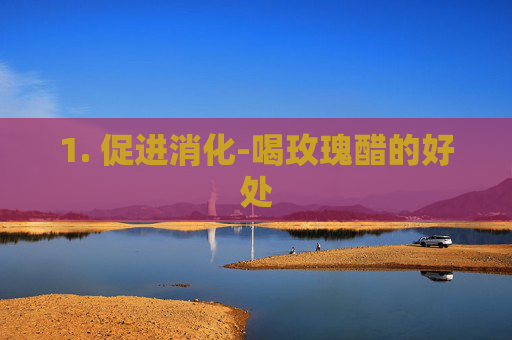 1. 促进消化-喝玫瑰醋的好处