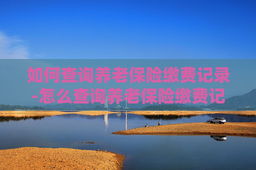 如何查询养老保险缴费记录-怎么查询养老保险缴费记录明细
