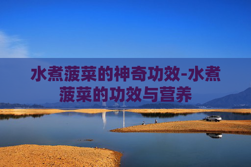 水煮菠菜的神奇功效-水煮菠菜的功效与营养