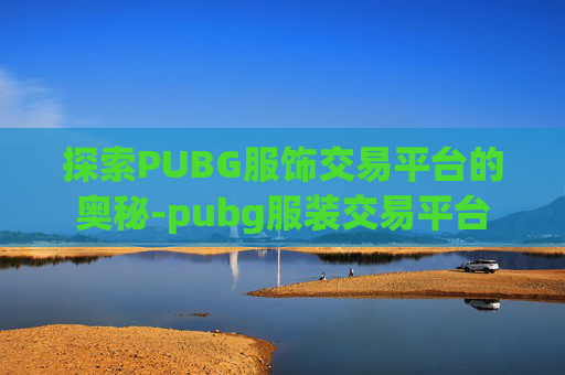 探索PUBG服饰交易平台的奥秘-pubg服装交易平台